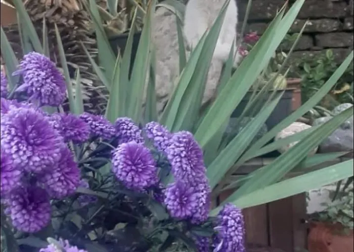 Apartamento Dalipi's *